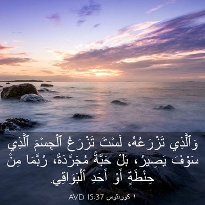 Picture 03 - ١ كورنثوس 15:37 AVD - وَٱلَّذِي تَزْرَعُهُ، - Bible Verse Picture