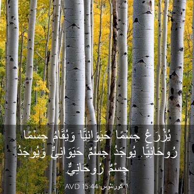 Picture 03 - ١ كورنثوس 15:44 AVD - يُزْرَعُ جِسْمًا - Bible Verse Picture