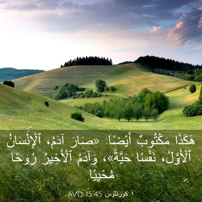 Picture 03 - ١ كورنثوس 15:45 AVD - هَكَذَا مَكْتُوبٌ أَيْضًا: - Bible Verse Picture