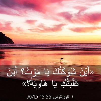 Picture 03 - ١ كورنثوس 15:55 AVD - «أَيْنَ شَوْكَتُكَ يَا - Bible Verse Picture