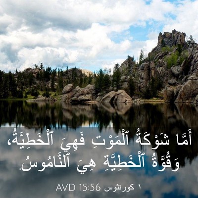 Picture 03 - ١ كورنثوس 15:56 AVD - أَمَّا شَوْكَةُ ٱلْمَوْتِ - Bible Verse Picture