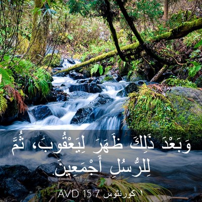 Picture 03 - ١ كورنثوس 15:7 AVD - وَبَعْدَ ذَلِكَ ظَهَرَ - Bible Verse Picture