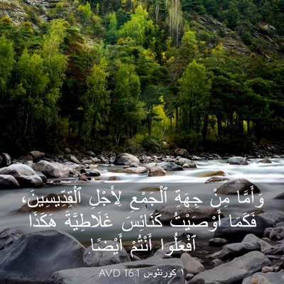 Picture 03 - ١ كورنثوس 16:1 AVD - وَأَمَّا مِنْ جِهَةِ - Bible Verse Picture