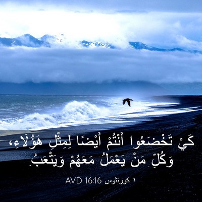 Picture 03 - ١ كورنثوس 16:16 AVD - كَيْ تَخْضَعُوا أَنْتُمْ - Bible Verse Picture