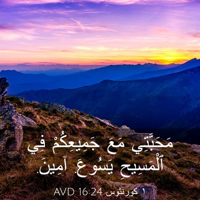 Picture 03 - ١ كورنثوس 16:24 AVD - مَحَبَّتِي مَعَ - Bible Verse Picture
