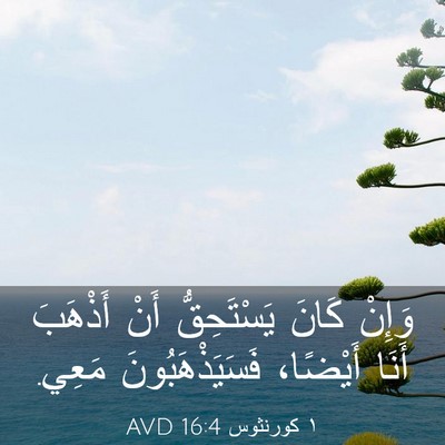 Picture 03 - ١ كورنثوس 16:4 AVD - وَإِنْ كَانَ يَسْتَحِقُّ - Bible Verse Picture