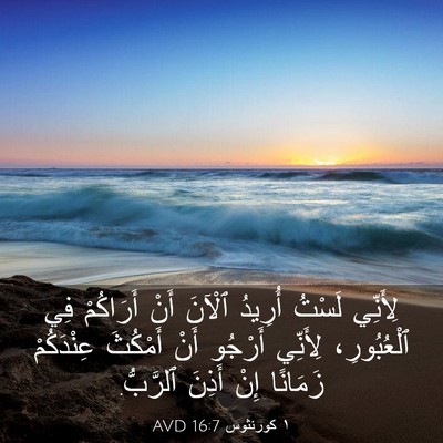 Picture 03 - ١ كورنثوس 16:7 AVD - لِأَنِّي لَسْتُ أُرِيدُ - Bible Verse Picture