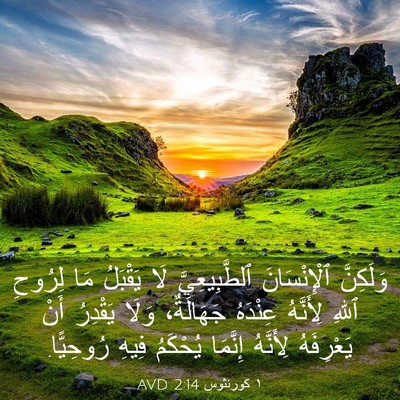 Picture 03 - ١ كورنثوس 2:14 AVD - وَلَكِنَّ ٱلْإِنْسَانَ - Bible Verse Picture