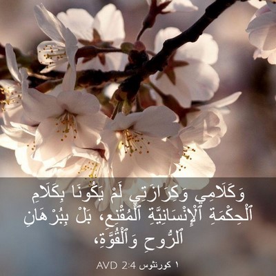 Picture 03 - ١ كورنثوس 2:4 AVD - وَكَلَامِي وَكِرَازَتِي - Bible Verse Picture