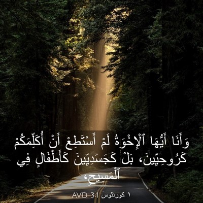 Picture 03 - ١ كورنثوس 3:1 AVD - وَأَنَا أَيُّهَا - Bible Verse Picture