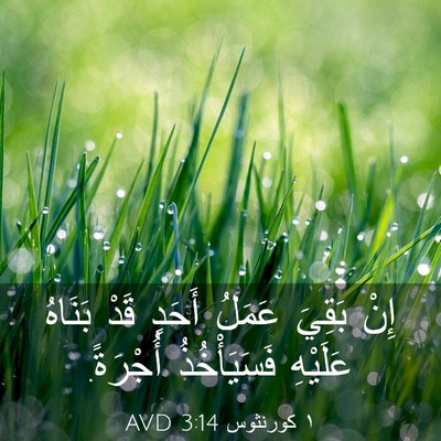 Picture 03 - ١ كورنثوس 3:14 AVD - إِنْ بَقِيَ عَمَلُ أَحَدٍ - Bible Verse Picture