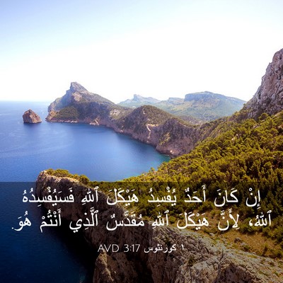 Picture 03 - ١ كورنثوس 3:17 AVD - إِنْ كَانَ أَحَدٌ يُفْسِدُ - Bible Verse Picture