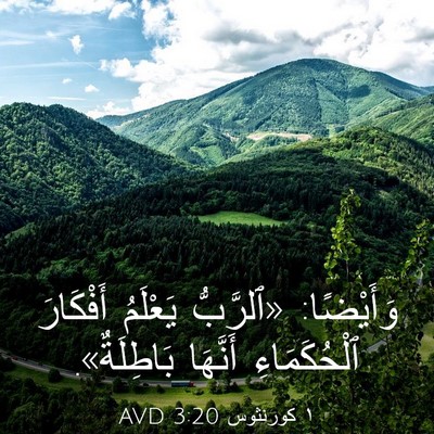 Picture 03 - ١ كورنثوس 3:20 AVD - وَأَيْضًا: «ٱلرَّبُّ - Bible Verse Picture