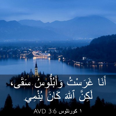 Picture 03 - ١ كورنثوس 3:6 AVD - أَنَا غَرَسْتُ - Bible Verse Picture