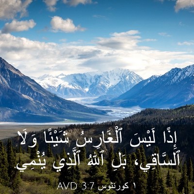 Picture 03 - ١ كورنثوس 3:7 AVD - إِذًا لَيْسَ ٱلْغَارِسُ - Bible Verse Picture