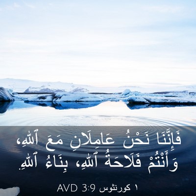Picture 03 - ١ كورنثوس 3:9 AVD - فَإِنَّنَا نَحْنُ - Bible Verse Picture