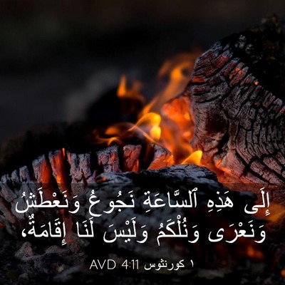 Picture 03 - ١ كورنثوس 4:11 AVD - إِلَى هَذِهِ ٱلسَّاعَةِ - Bible Verse Picture