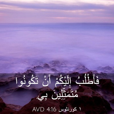 Picture 03 - ١ كورنثوس 4:16 AVD - فَأَطْلُبُ إِلَيْكُمْ - Bible Verse Picture