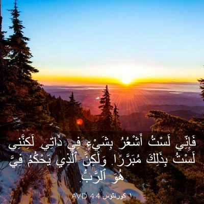 Picture 03 - ١ كورنثوس 4:4 AVD - فَإِنِّي لَسْتُ أَشْعُرُ - Bible Verse Picture