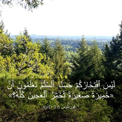Picture 03 - ١ كورنثوس 5:6 AVD - لَيْسَ ٱفْتِخَارُكُمْ - Bible Verse Picture