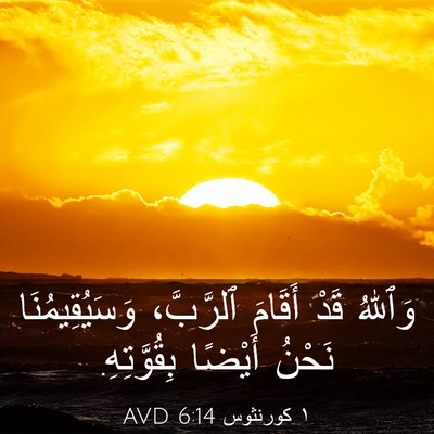 Picture 03 - ١ كورنثوس 6:14 AVD - وَٱللهُ قَدْ أَقَامَ - Bible Verse Picture