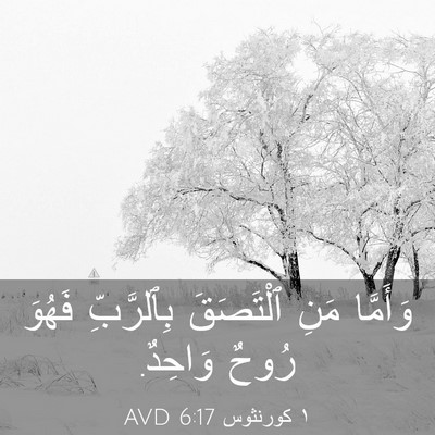 Picture 03 - ١ كورنثوس 6:17 AVD - وَأَمَّا مَنِ ٱلْتَصَقَ - Bible Verse Picture