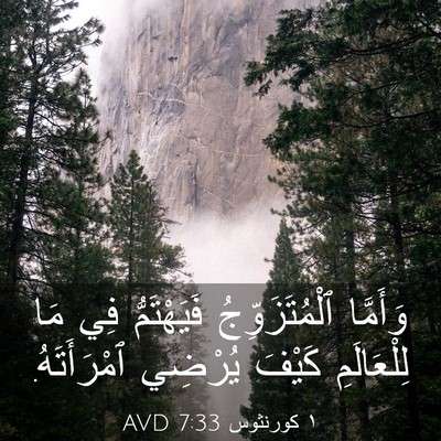 Picture 03 - ١ كورنثوس 7:33 AVD - وَأَمَّا ٱلْمُتَزَوِّجُ - Bible Verse Picture