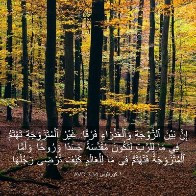 Picture 03 - ١ كورنثوس 7:34 AVD - إِنَّ بَيْنَ ٱلزَّوْجَةِ - Bible Verse Picture