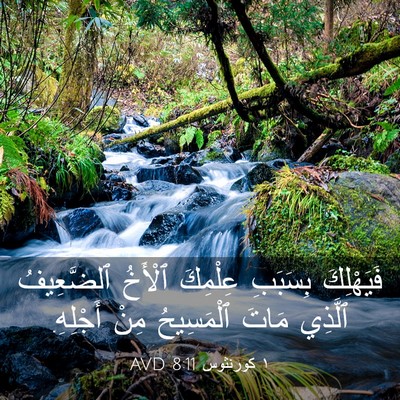 Picture 03 - ١ كورنثوس 8:11 AVD - فَيَهْلِكَ بِسَبَبِ - Bible Verse Picture