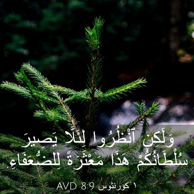 Picture 03 - ١ كورنثوس 8:9 AVD - وَلَكِنِ ٱنْظُرُوا - Bible Verse Picture