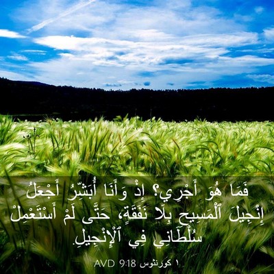 Picture 03 - ١ كورنثوس 9:18 AVD - فَمَا هُوَ أَجْرِي؟ إِذْ - Bible Verse Picture