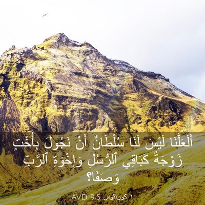Picture 03 - ١ كورنثوس 9:5 AVD - أَلَعَلَّنَا لَيْسَ لَنَا - Bible Verse Picture