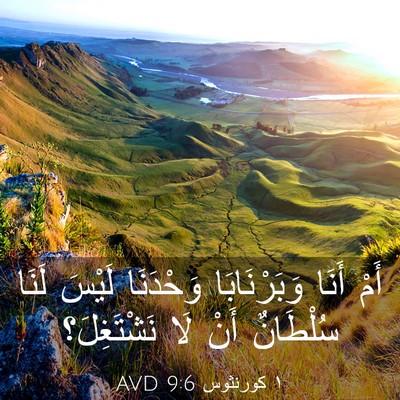 Picture 03 - ١ كورنثوس 9:6 AVD - أَمْ أَنَا وَبَرْنَابَا - Bible Verse Picture