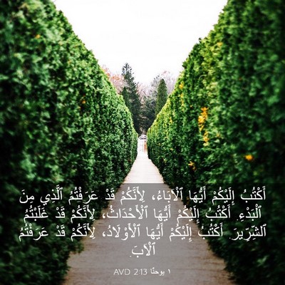 Picture 03 - ١ يوحنَّا 2:13 AVD - أَكْتُبُ إِلَيْكُمْ - Bible Verse Picture