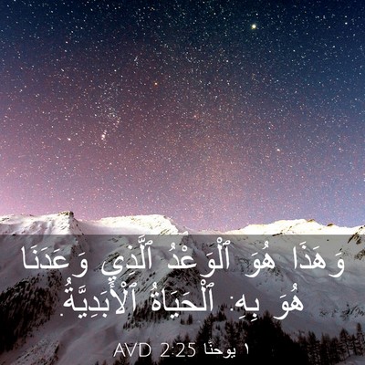 Picture 03 - ١ يوحنَّا 2:25 AVD - وَهَذَا هُوَ ٱلْوَعْدُ - Bible Verse Picture