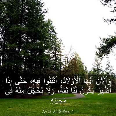Picture 03 - ١ يوحنَّا 2:28 AVD - وَٱلْآنَ أَيُّهَا - Bible Verse Picture