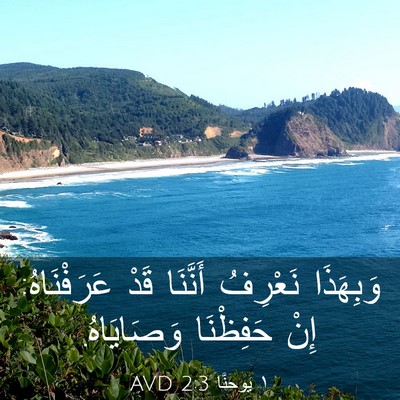 Picture 03 - ١ يوحنَّا 2:3 AVD - وَبِهَذَا نَعْرِفُ - Bible Verse Picture