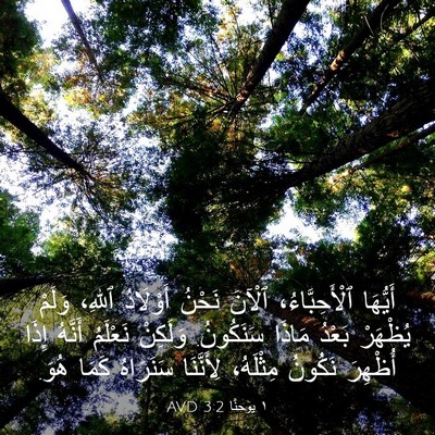 Picture 03 - ١ يوحنَّا 3:2 AVD - أَيُّهَا ٱلْأَحِبَّاءُ، - Bible Verse Picture