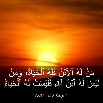 Picture 03 - ١ يوحنَّا 5:12 AVD - مَنْ لَهُ ٱلِٱبْنُ فَلَهُ - Bible Verse Picture