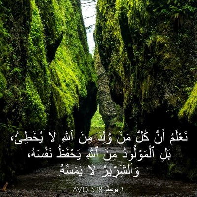 Picture 03 - ١ يوحنَّا 5:18 AVD - نَعْلَمُ أَنَّ كُلَّ مَنْ - Bible Verse Picture