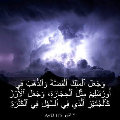 Picture 03 - ٢ أخبار 1:15 AVD - وَجَعَلَ ٱلْمَلِكُ - Bible Verse Picture