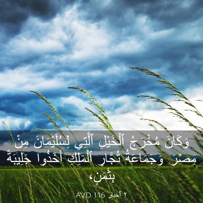Picture 03 - ٢ أخبار 1:16 AVD - وَكَانَ مُخْرَجُ - Bible Verse Picture