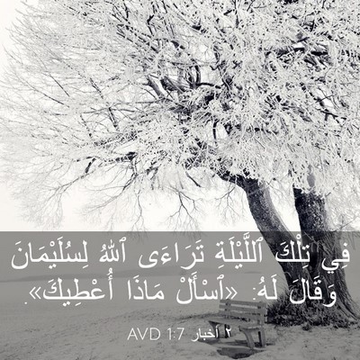 Picture 03 - ٢ أخبار 1:7 AVD - فِي تِلْكَ ٱللَّيْلَةِ - Bible Verse Picture