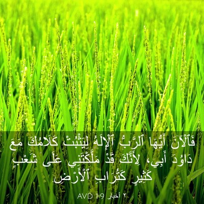 Picture 03 - ٢ أخبار 1:9 AVD - فَٱلْآنَ أَيُّهَا - Bible Verse Picture