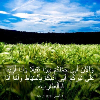 Picture 03 - ٢ أخبار 10:11 AVD - وَٱلْآنَ أَبِي - Bible Verse Picture