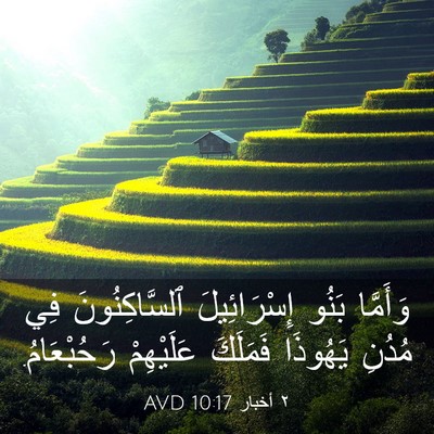 Picture 03 - ٢ أخبار 10:17 AVD - وَأَمَّا بَنُو - Bible Verse Picture