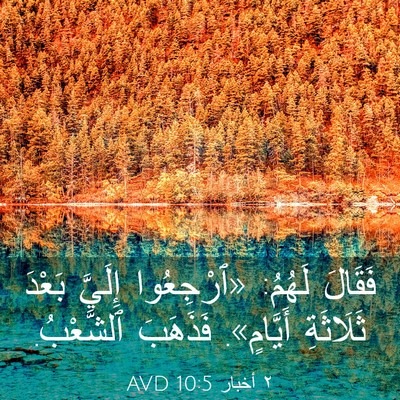 Picture 03 - ٢ أخبار 10:5 AVD - فَقَالَ لَهُمُ: «ٱرْجِعُوا - Bible Verse Picture