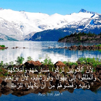 Picture 03 - ٢ أخبار 11:14 AVD - لِأَنَّ ٱللَّاوِيِّينَ - Bible Verse Picture