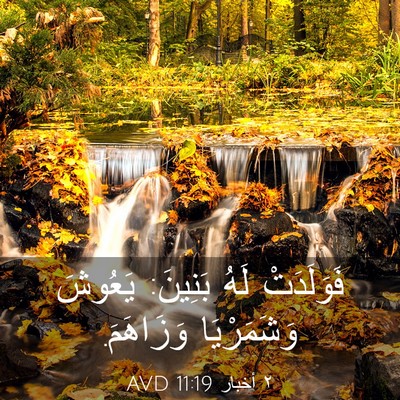 Picture 03 - ٢ أخبار 11:19 AVD - فَوَلَدَتْ لَهُ بَنِينَ: - Bible Verse Picture