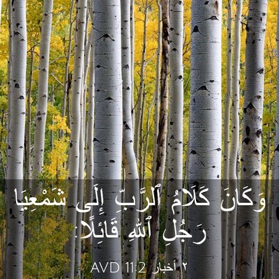 Picture 03 - ٢ أخبار 11:2 AVD - وَكَانَ كَلَامُ ٱلرَّبِّ - Bible Verse Picture